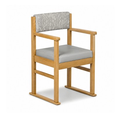 Apollo Care Home Dining Chair with Skis