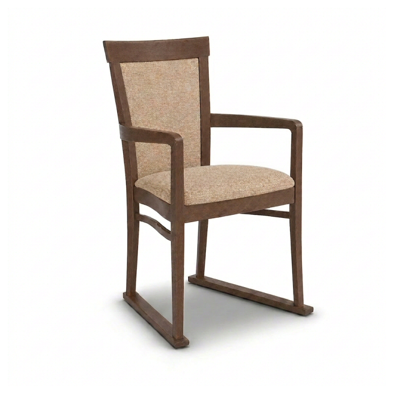 Elice Care Home Dining Chair with Skis