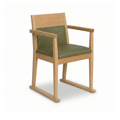 Novo Care Home Dining Chair with Skis
