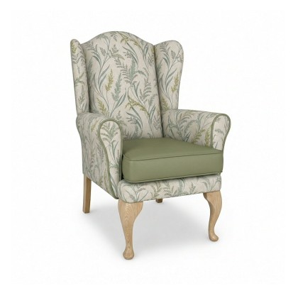 Alnwick Care Home Wing Chair