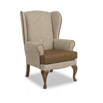 Balmoral Care Home Wing Chair