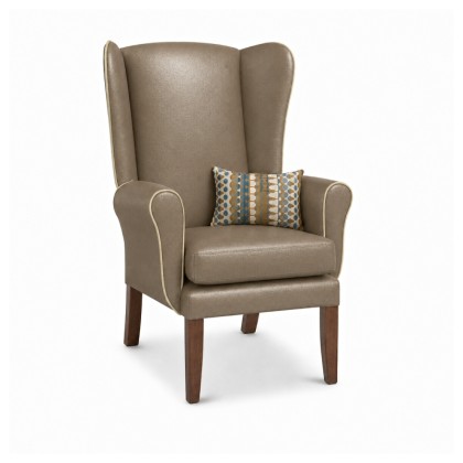 Harrogate Care Home Wing Chair